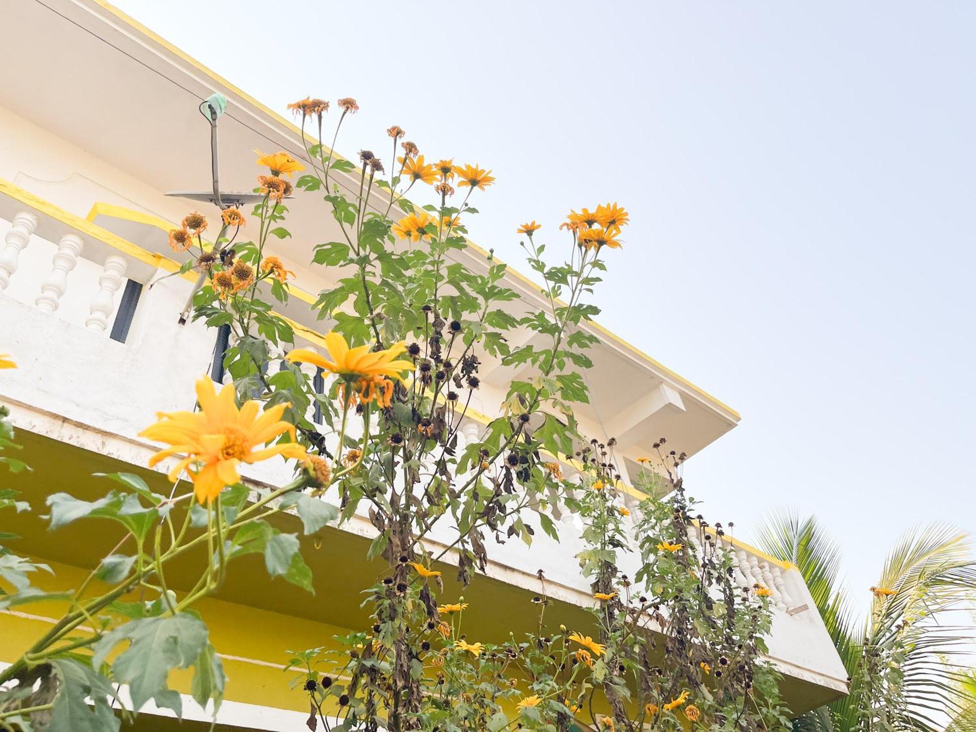 مادريم Evaddo Homes المظهر الخارجي الصورة