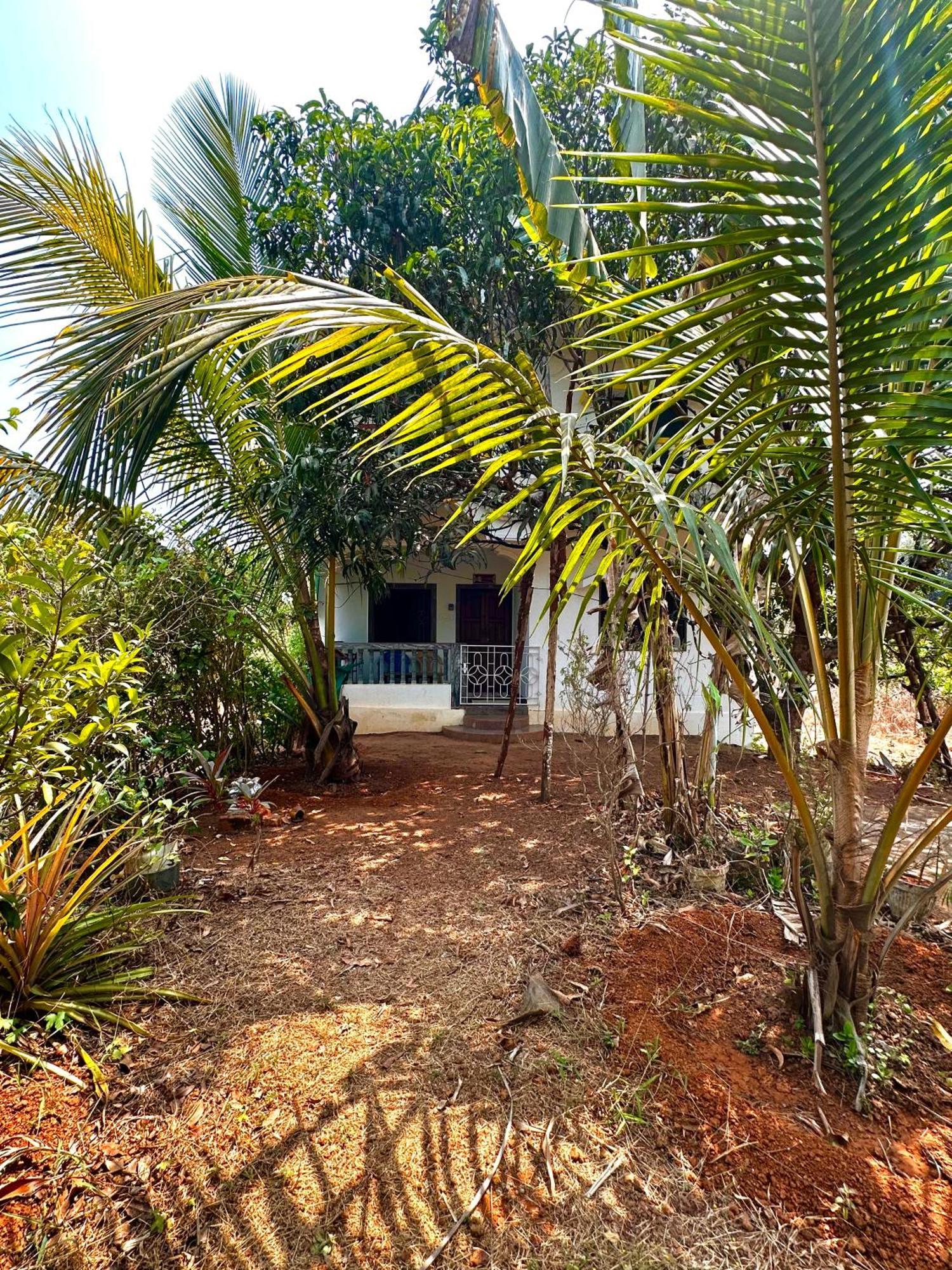 مادريم Evaddo Homes المظهر الخارجي الصورة